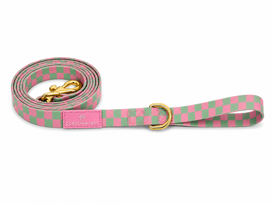 Waterproof Dog Leash - Candy Tide