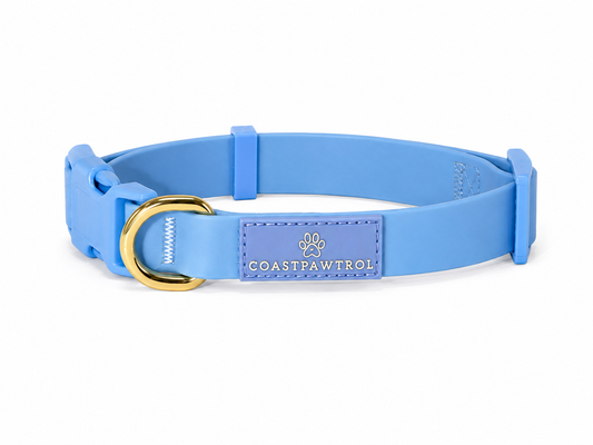 Waterproof Dog Collar - Pawcific Blue